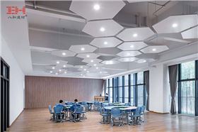 華中師范大學(xué)附屬龍園學(xué)校-造型鋁單板001.jpg